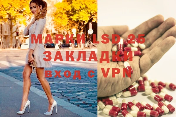 тгк Осинники