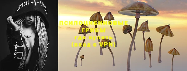 тгк Осинники