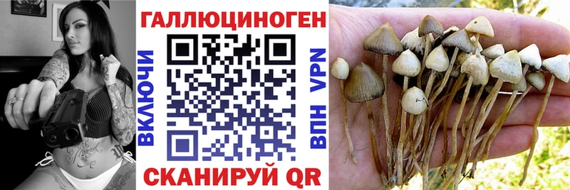 blacksprut сайт Якутск Галлюциногенные грибы Magic Shrooms